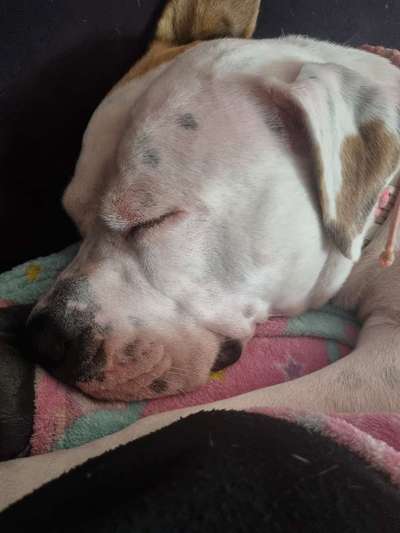 Gibt es Namens-Verwandte-Beitrag-Bild