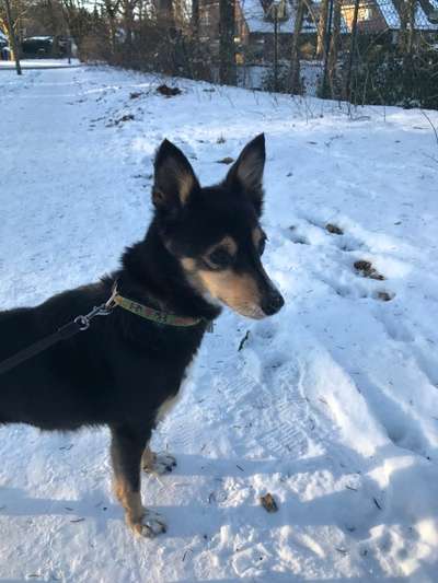 Challenge Nr. 15
Spiel im Schnee-Beitrag-Bild