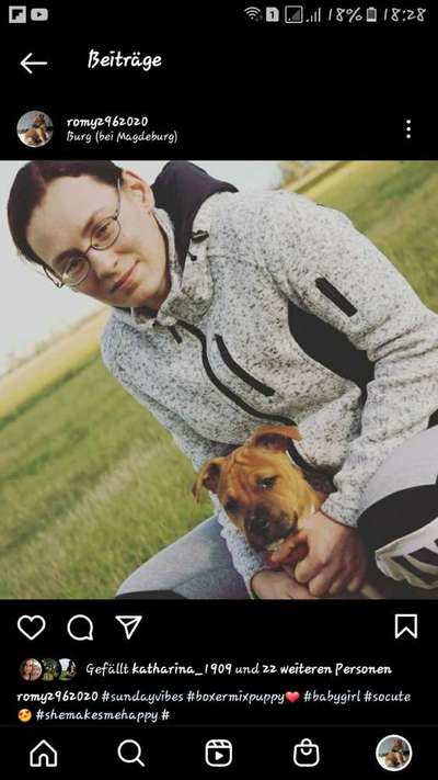 Hundetreffen-Spielrunde