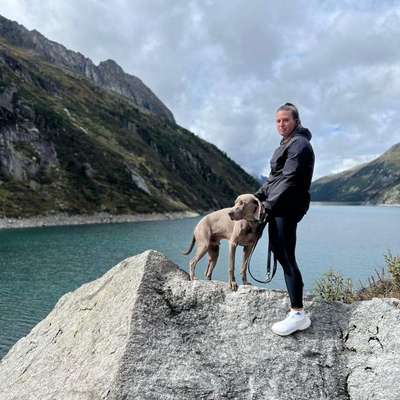 Hundetreffen-Spiel & Gassirunde