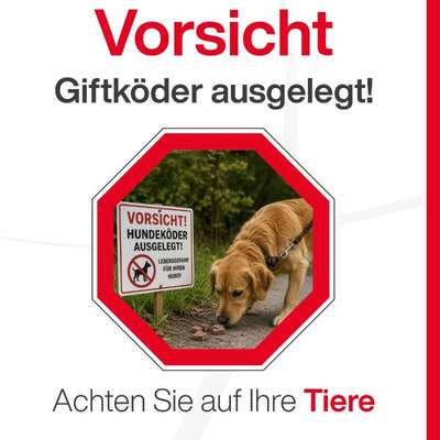 Giftköder-Giftköder im Zimmermannspark-Bild