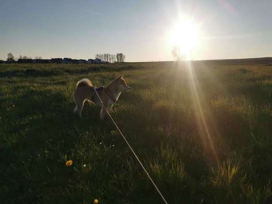 Fotowettbewerb Natur-Beitrag-Bild