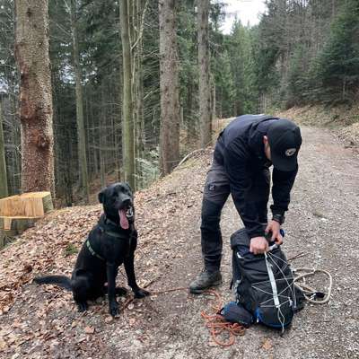 Hundetreffen-Social Walk-Bild