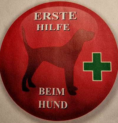 Sollte das Absolvieren eines Erste-Hilfe-Kurses beim Hund zur Pflicht werden?-Beitrag-Bild