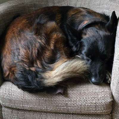 "Wege zur Freundschaft" (Ulli Reichmann)-Beitrag-Bild