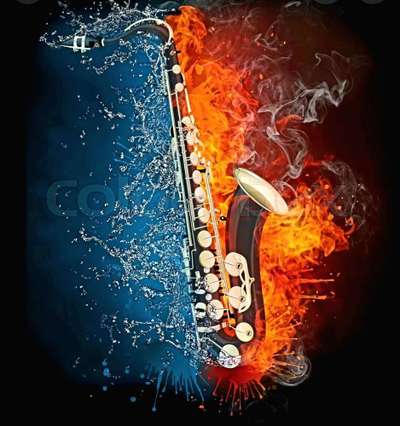 Wie heißt dein Hund?-Beitrag-Bild