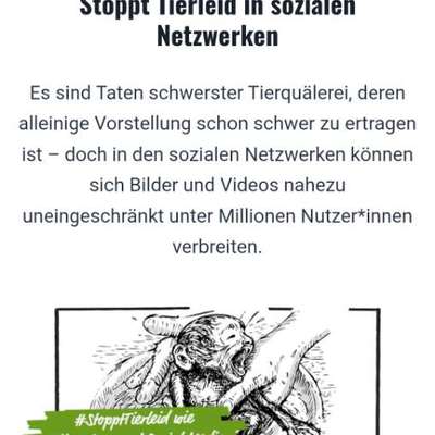 Gewalt gegen Hunde in sozialen Medien-Beitrag-Bild