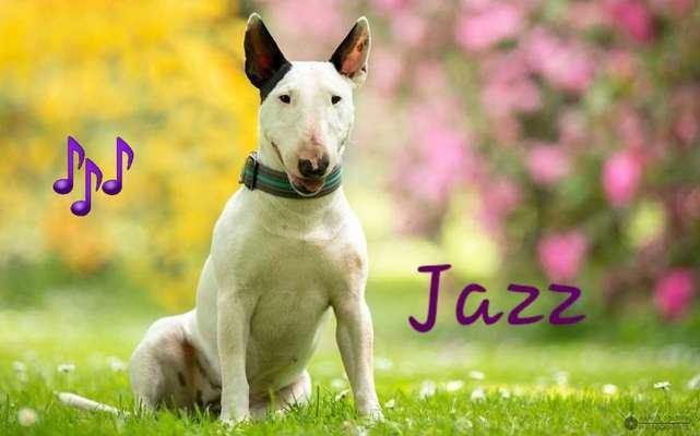 30. Farben Challenge - Pink-Beitrag-Bild