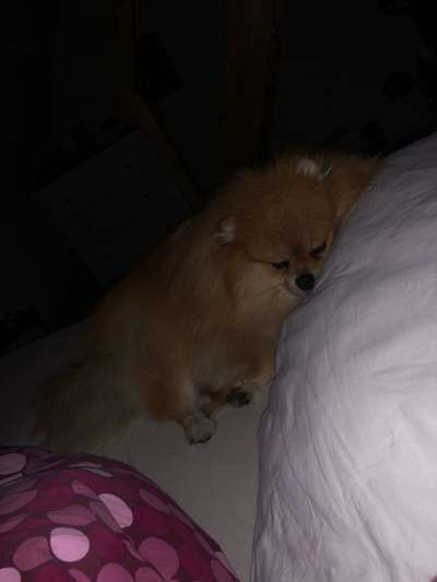 Foto Challenge Nr. 134-Beitrag-Bild