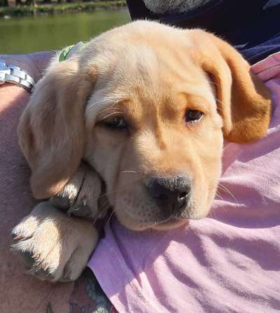 Sie werden so schnell erwachsen ...-Beitrag-Bild