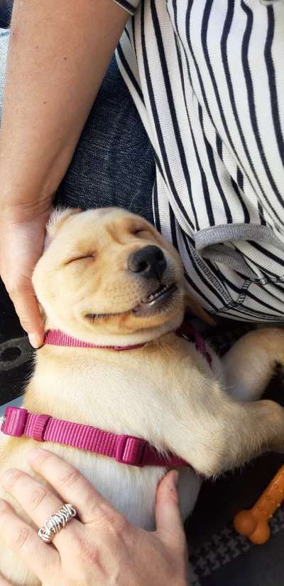 Grinsebacken-Beitrag-Bild