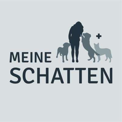 Hundeschulen-Meine Schatten-Bild