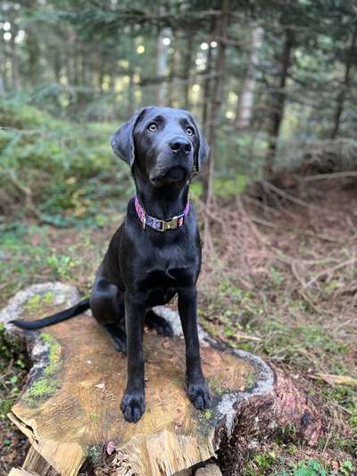 Zeigt eure Portraits-Beitrag-Bild