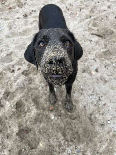 Zeigt eure Portraits-Beitrag-Bild