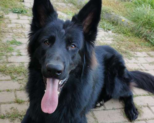 Blick fürs Detail!-Beitrag-Bild