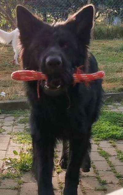 Moviestar-Pics!-Beitrag-Bild