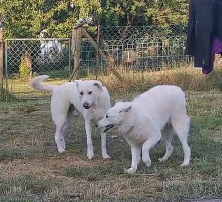 Moviestar-Pics!-Beitrag-Bild