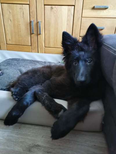 Moviestar-Pics!-Beitrag-Bild