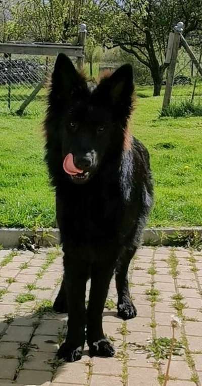 Un...scharf Bilder-Beitrag-Bild