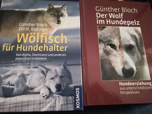 Hunde-Fachliteratur-Beitrag-Bild