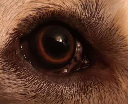 Blick fürs Detail!-Beitrag-Bild