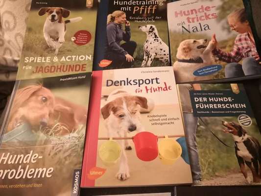 Hunde-Fachliteratur-Beitrag-Bild