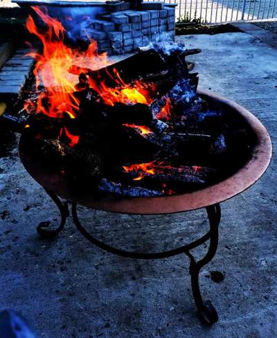 Hund und Feuer-Beitrag-Bild