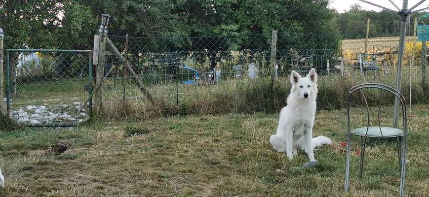 Moviestar-Pics!-Beitrag-Bild