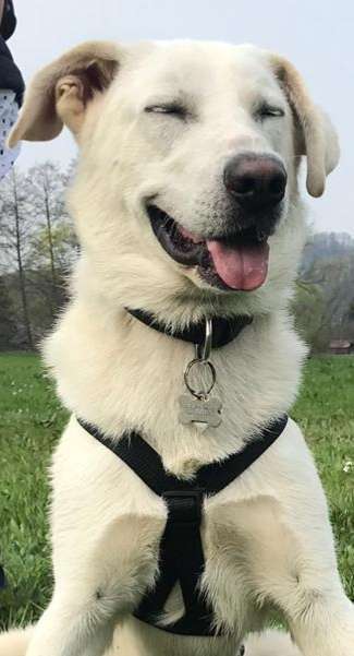 Das beste grinsefoto-Beitrag-Bild