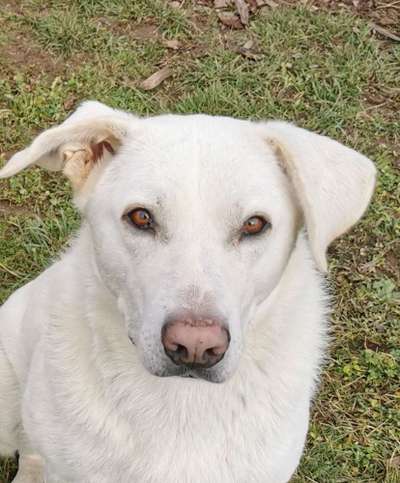 Fotochallange Nr. 57     PORTRÄT.   Beendet!!!!!!!!-Beitrag-Bild