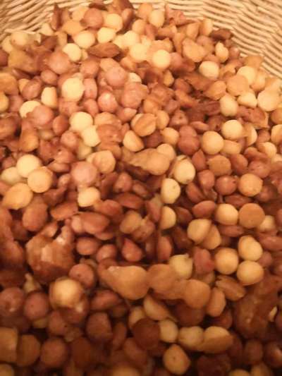 Leckereien zum trainieren?-Beitrag-Bild