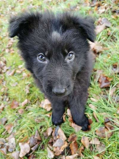 Fotochallange Nr. 57     PORTRÄT.   Beendet!!!!!!!!-Beitrag-Bild