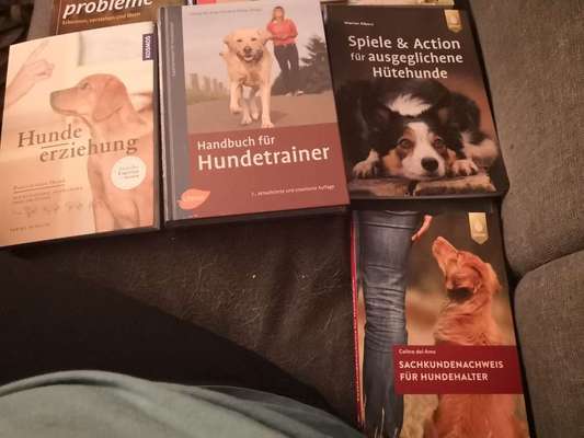 Hunde-Fachliteratur-Beitrag-Bild
