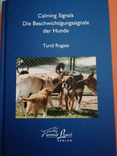 Respektloser Umgang zwischen Hundebesitzern-Beitrag-Bild