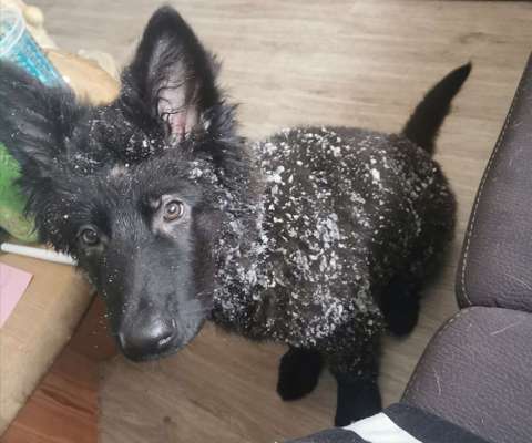 Moviestar-Pics!-Beitrag-Bild