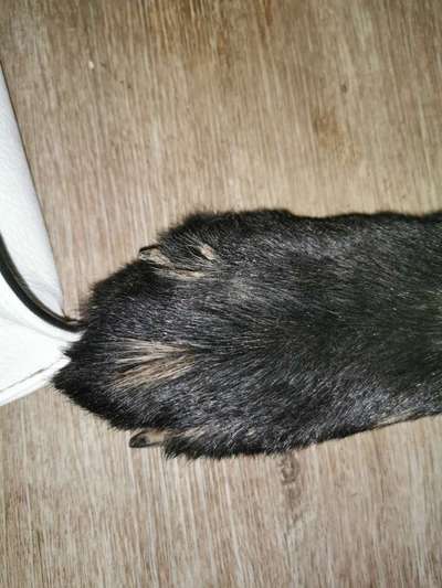 Blick fürs Detail!-Beitrag-Bild