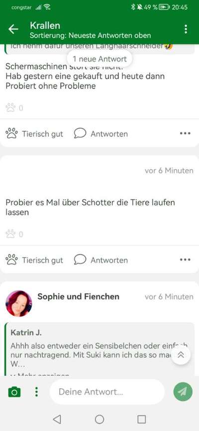 Krallen-Beitrag-Bild