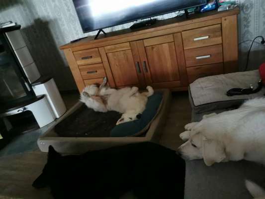 Erzählt eure Erfolgsstorys!-Beitrag-Bild