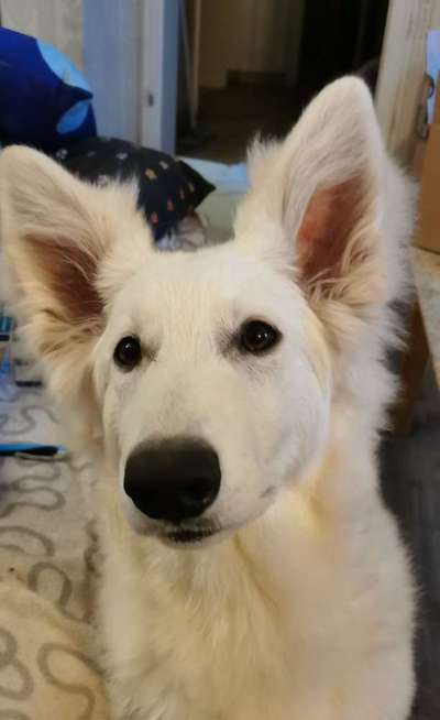 Moviestar-Pics!-Beitrag-Bild