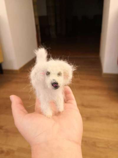 Haare, Haare, HAARE-Beitrag-Bild