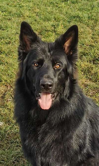 Fotochallange Nr. 57     PORTRÄT.   Beendet!!!!!!!!-Beitrag-Bild