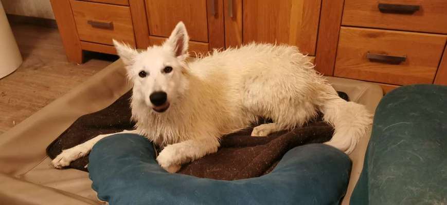 Moviestar-Pics!-Beitrag-Bild