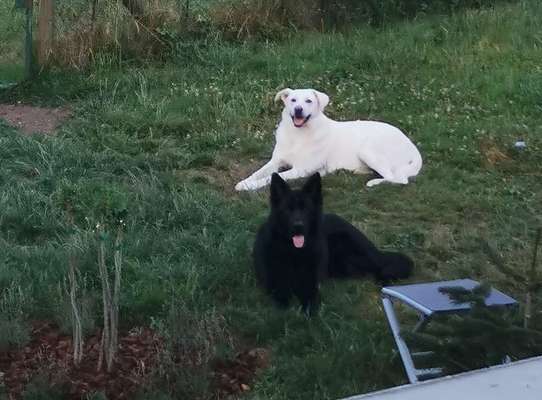 Das beste grinsefoto-Beitrag-Bild