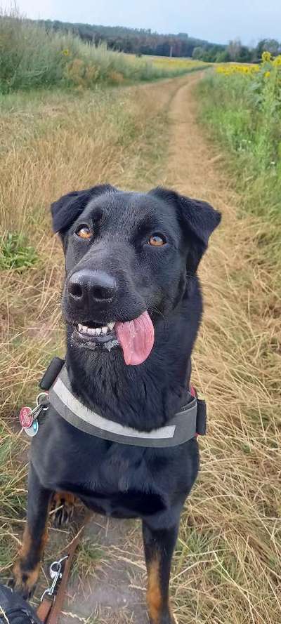 Lieblingsbild :D-Beitrag-Bild