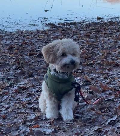 Fotochallenge Nr.122-Beitrag-Bild