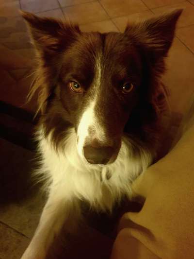 Fotochallange Nr. 57     PORTRÄT.   Beendet!!!!!!!!-Beitrag-Bild