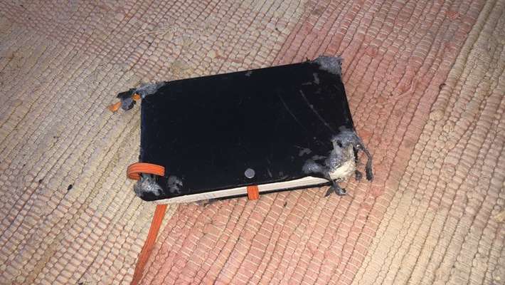 Zeig mir, dass du mit einem hund zusammenlebst....-Beitrag-Bild