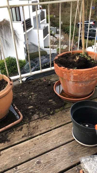 Zeig mir, dass du mit einem hund zusammenlebst....-Beitrag-Bild