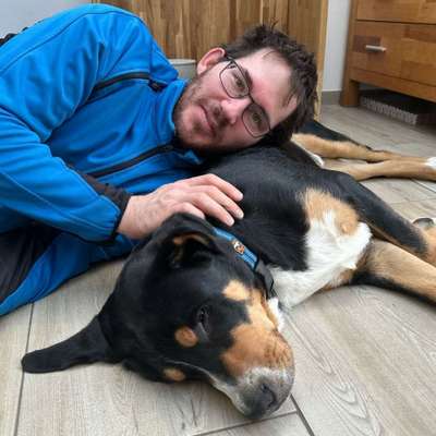 Hundetreffen-Abendliche Gassirunde, toben, Training