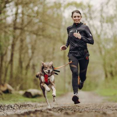 Giftköder-Einzelcoaching Canicross-Bild